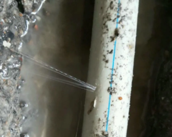 隆昌卫生间测漏水多少钱