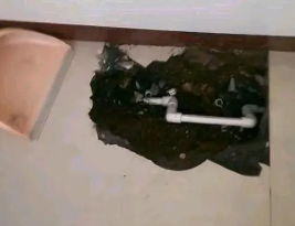 隆昌卫生间测漏水多少钱
